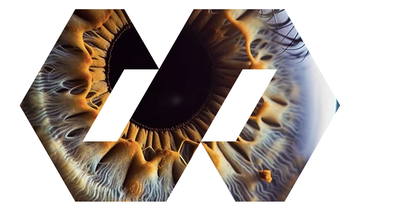 Surprise Systems Logo